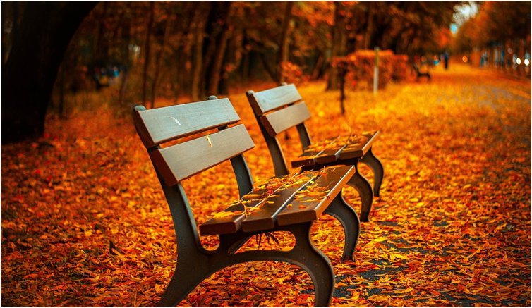 Outono mudanças nos estados de humor