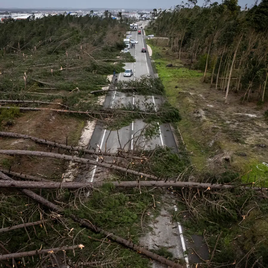 Depois da tempestade